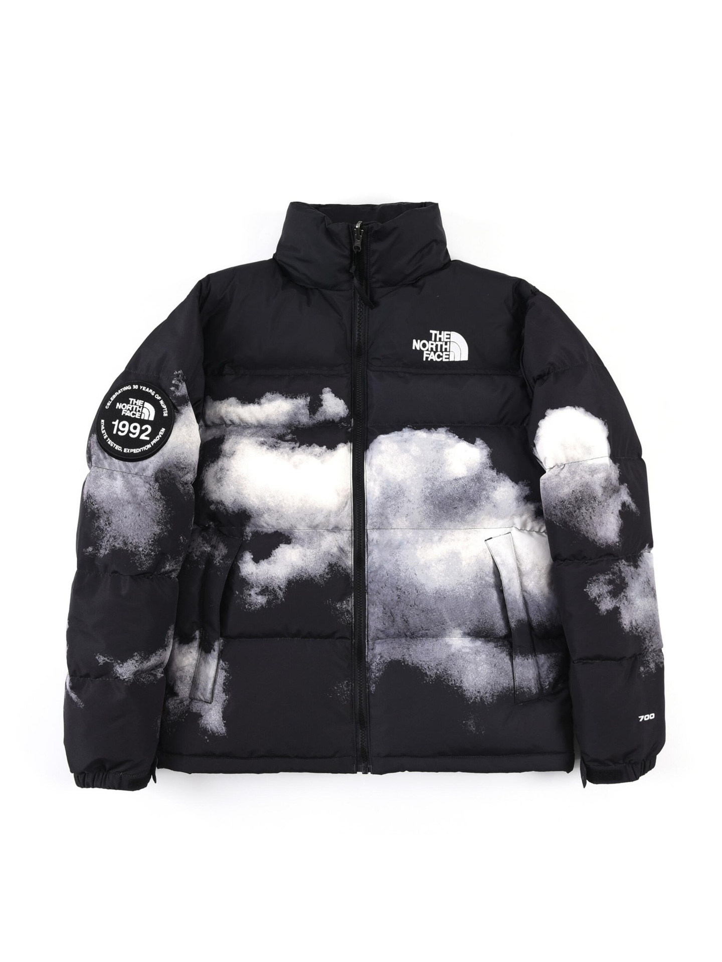 The North Face Down Jackets